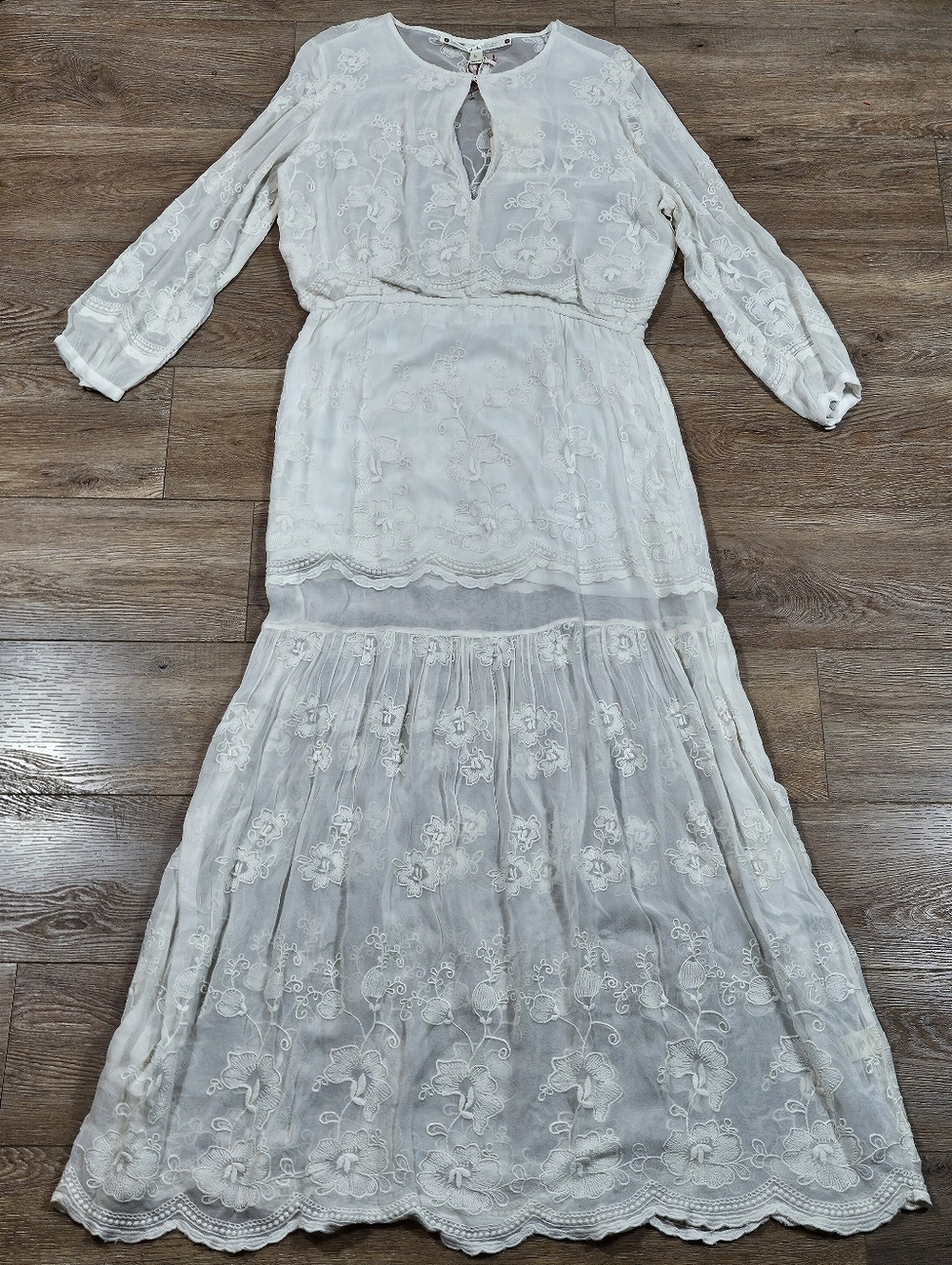 NWT Chelsea & Violet Ivory Embroidered Mesh Semi-Sheer Long Sleeve Maxi Dress - Picture 2 of 16